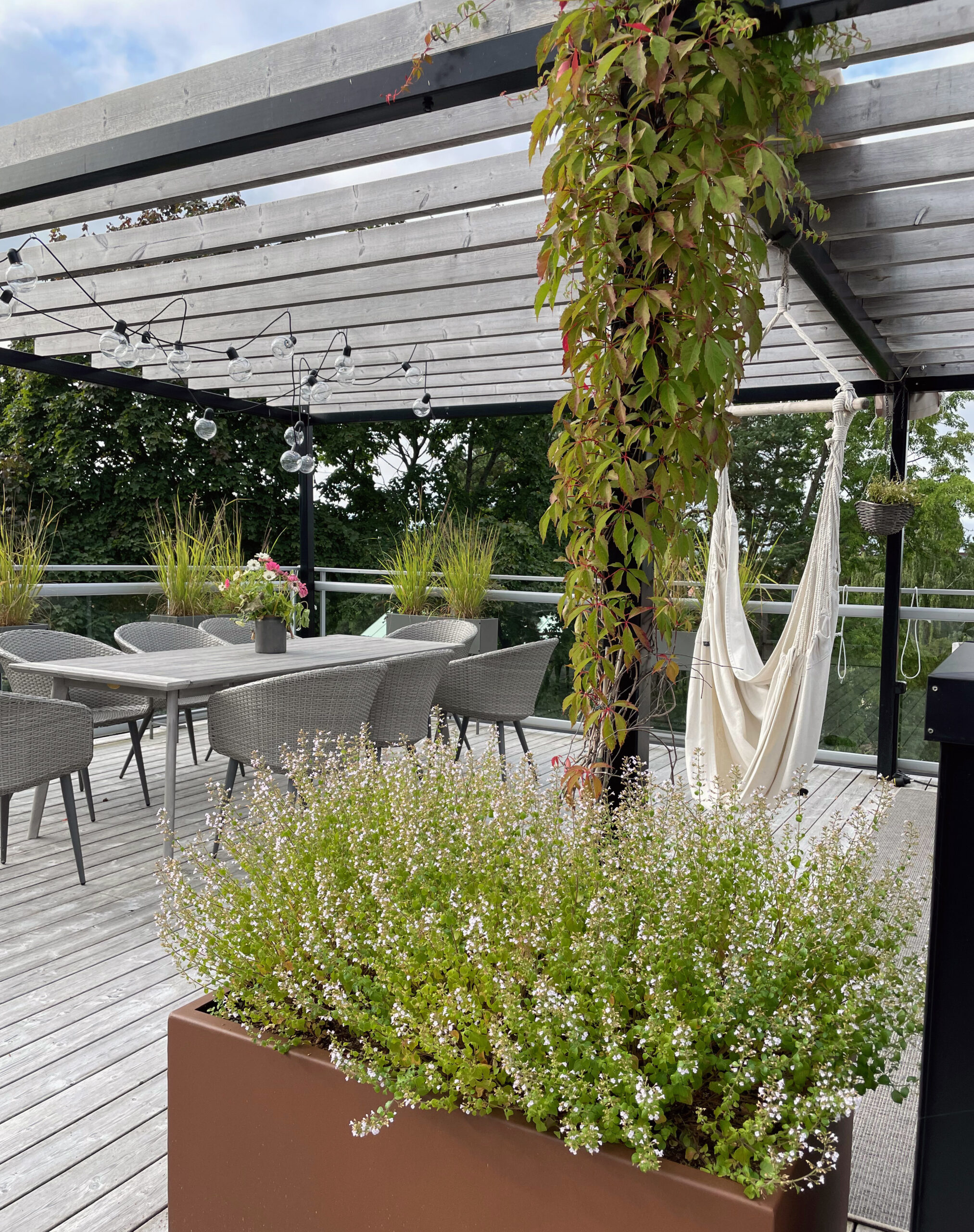 takterass stenkyndel pergola klätter IMG_8053 takterrass pergola växtkärl uteplats